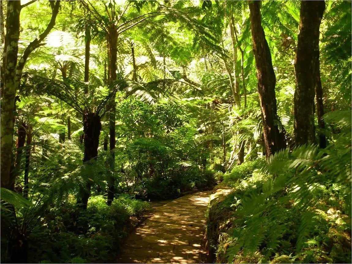 A Tour to Nature’s Secret Gardens
