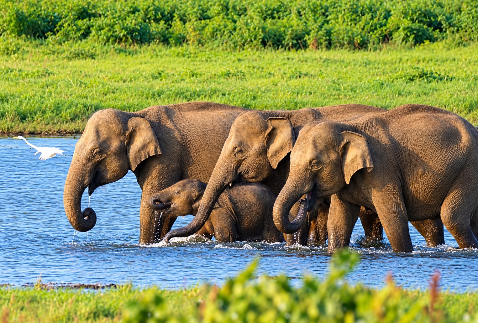 Tour to Nature and the Wild