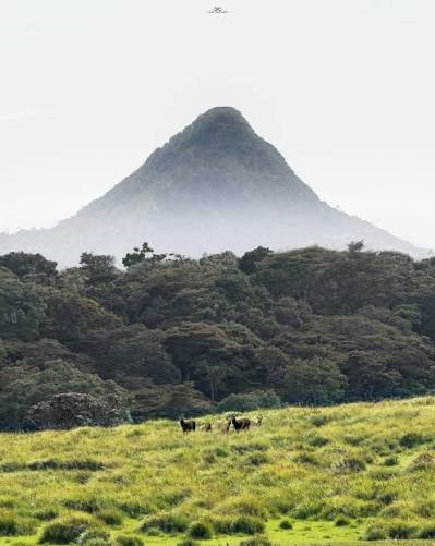 Adams Peak (Sripadaya)