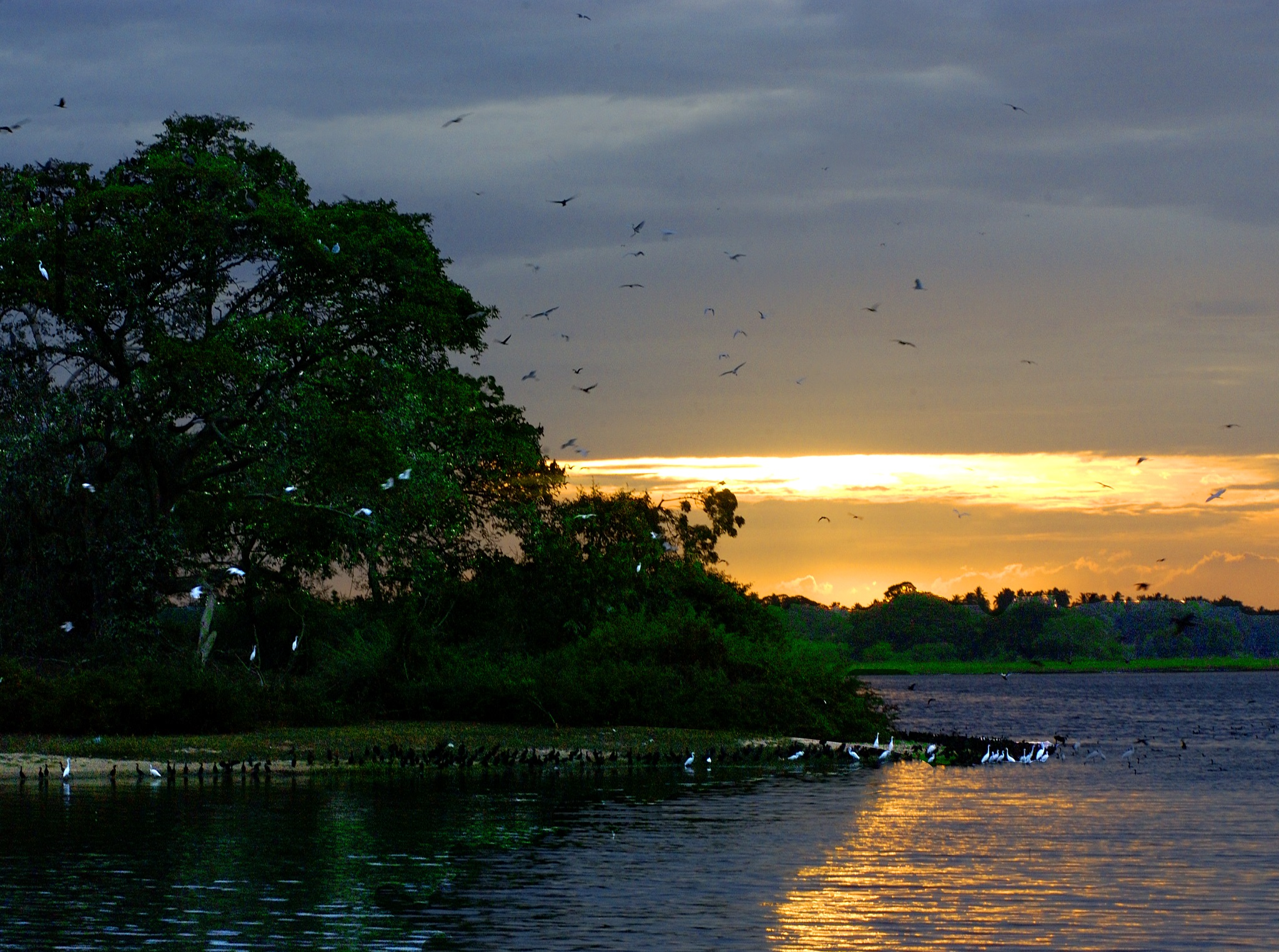 Bundala Bird Sanctuary