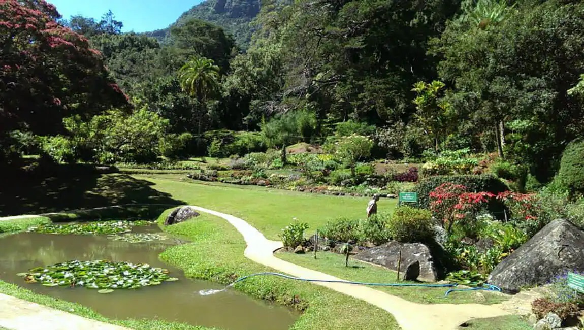 Hakgala Botanical Garden