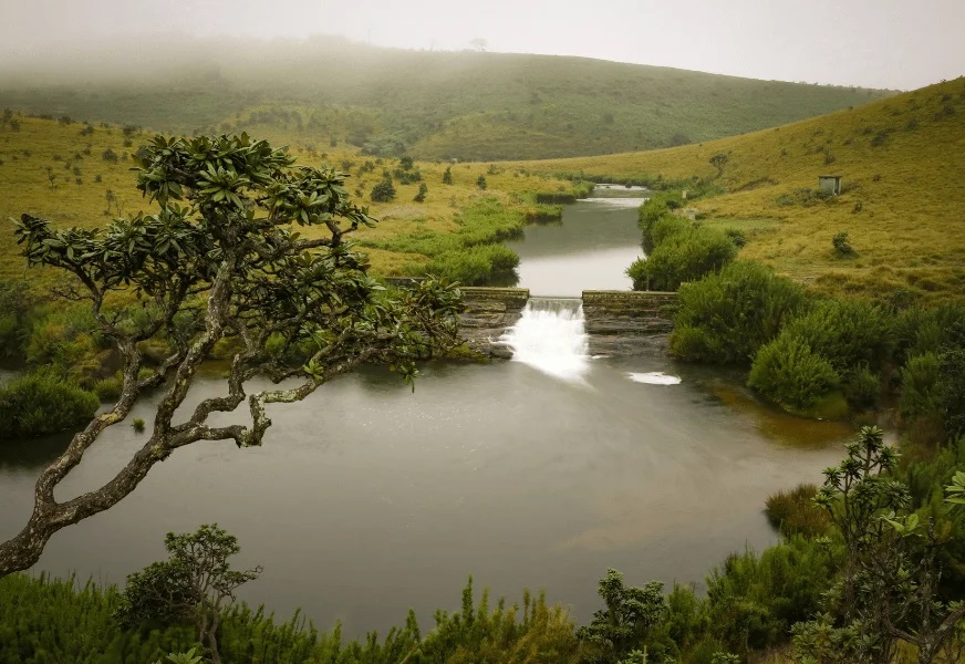 Horton Plains National Park